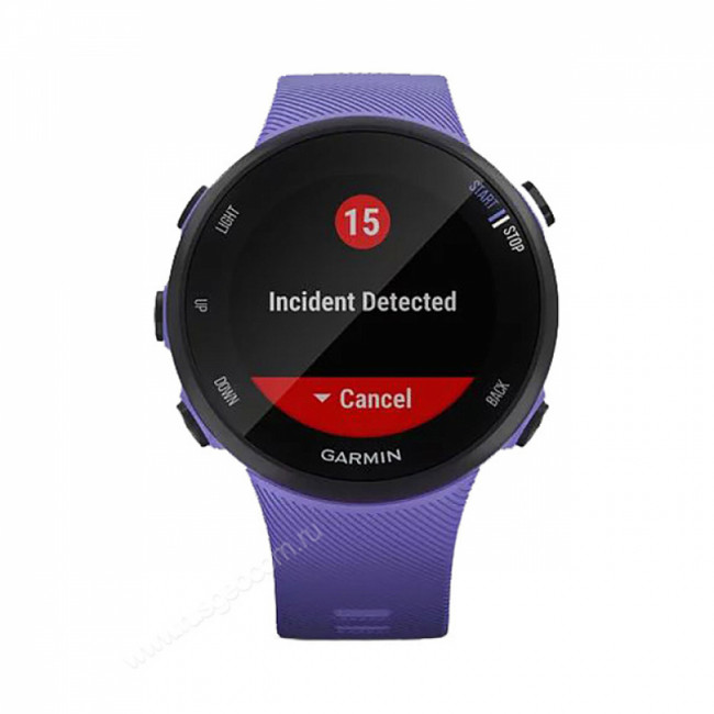 Часы Garmin Forerunner 45S ирис